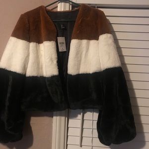 Teddy Coat / Fur Cropped Coat